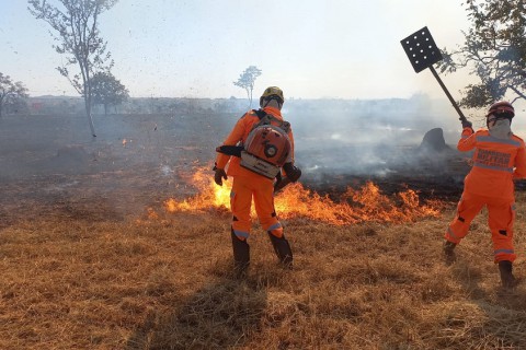 Incêndios em vegetação