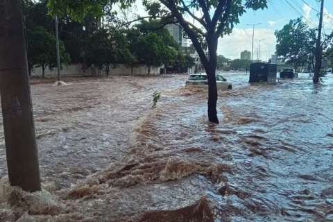 Uberlândia tem ventania, alagamentos e quedas de árvore; Defesa Civil emite alerta para chuvas fortes